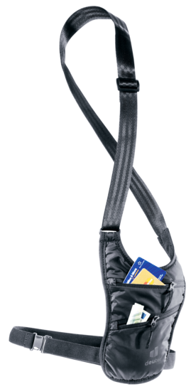 Travel accessory Security Holster