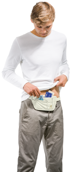 Travel accessory Security Money Belt I