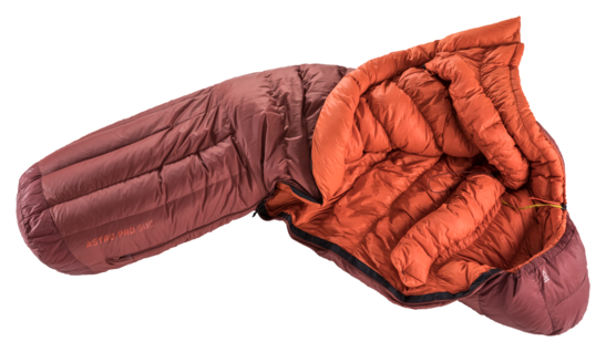 Daunenschlafsack Astro Pro 800 L