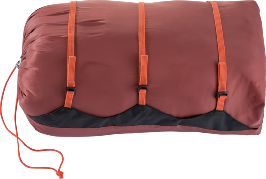 Daunenschlafsack Astro Pro 800 L